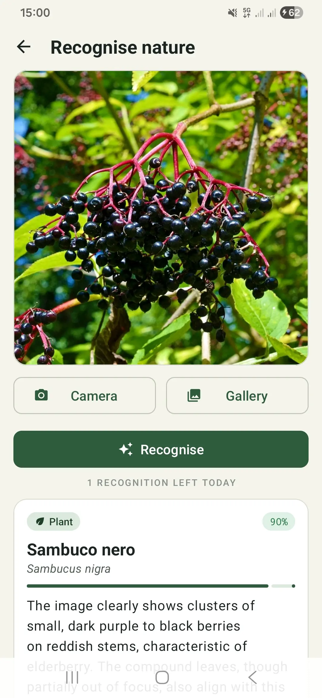 Identifying a plant from a photo in WildLife